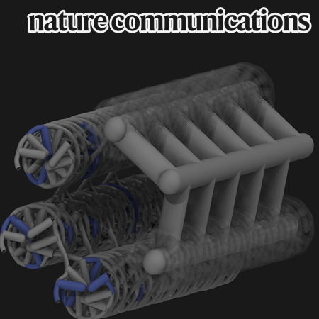 Development of Technology to Predict the Deformation of DNA Origami Structures Induced by DNA-Binding Molecules