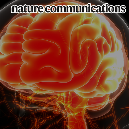 The ultra-thin, minimally invasive surface electrode array ‘NeuroWeb’ for probing neural activity