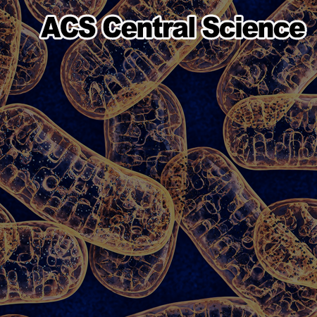 Mitochondrial Thermogenesis Can Trigger Heat Shock Response in the Nucleus