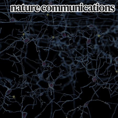 Understanding the molecular mechanisms of odorant binding and activation of the human OR52 family