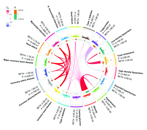 그림 2. 플레이오가 발굴한 유전자가 18개의 특질에 어떻게 영향을 끼치는지 보여주는 네트워크 그림.