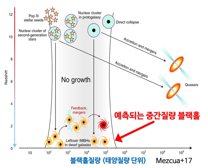 그림 1. 초기우주에서 현재 우주가지 블랙홀들의 진화 과정. 현재 우주 (redshift =0)에서 거대질량 블랙홀 (백만 태양질량 이상)들이 많이 발견되나 중간질량 블랙홀로 확정된 경우는 드물다. 중간질량 블랙홀 탐사는 초기우주에서 블랙홀들이 어떻게 생성되었는지 그 기원을 밝히는 중요한 단서다. 현재 제안된 여러 가지 블랙홀 씨앗 시나리오들에 따르면 블랙홀 씨앗의 질량은 태양질량의 100에서 100,000 배로 추정된다. 