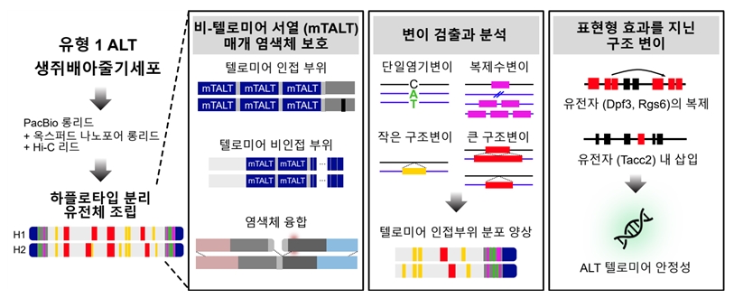 본 연구의 내용을 요약해서 표현한 그림