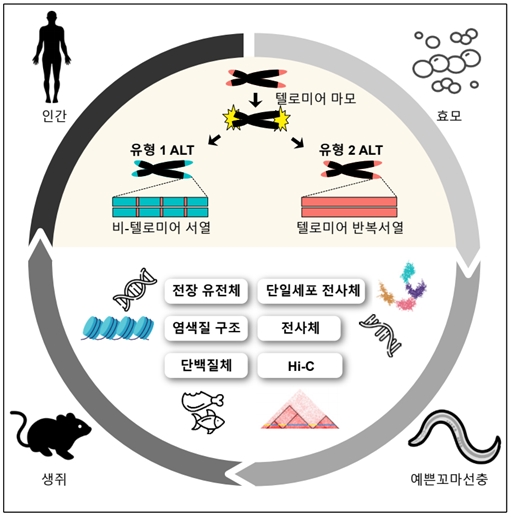 ALT 연구의 흐름과 방향을 요약해서 표현한 그림