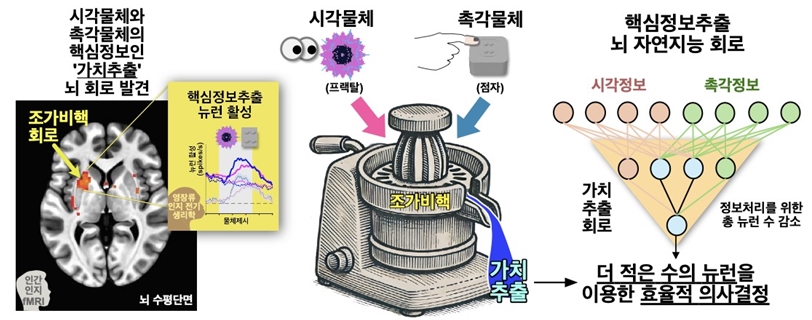 핵심정보추출 뉴런을 통한 자연지능의 양적 효율성 확보