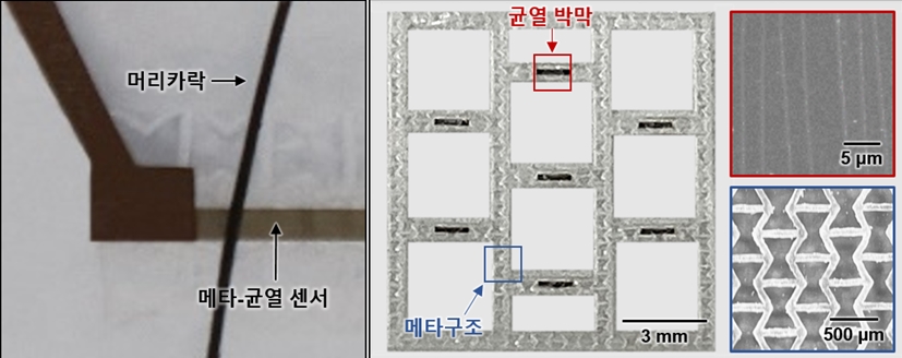 ▲ 그림1 (좌) 메타구조-균열 통합 기반 초고민감 변형률 센서 (우) 메타-균열 센서를 구성하는 균열이 포함된 박막과 메타구조