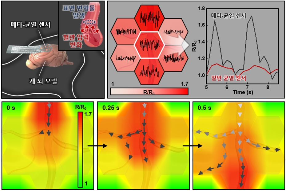 ▲ 그림3 (좌상단) 개 뇌 모델 혈관 표면에서의 생체 신호 모니터링 모식도 (우상단) 혈관 다발 표면에서의 초민감 혈압 변화 모니터링 (하단) 실시간 혈류 변화 모니터링