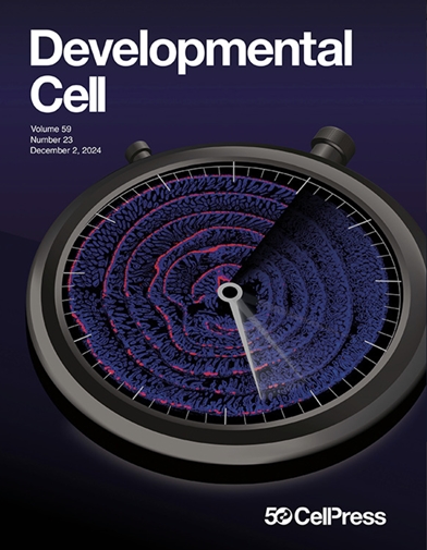 〈그림 3〉Developmental cell cover 