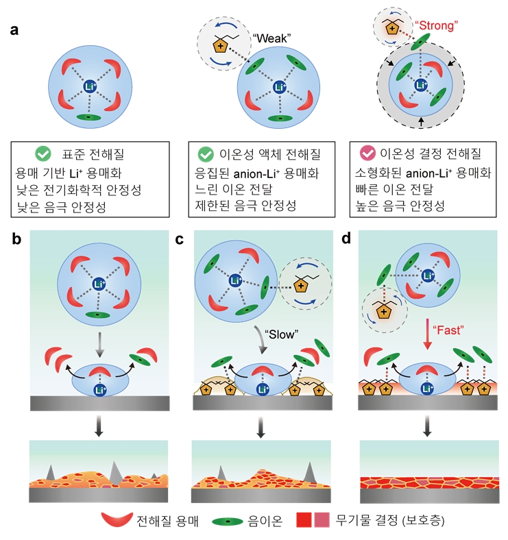 그림 2. (a) 이온성 플라스틱 결정 주입 전해질에 의한 실용적인 삼원계 리튬 금속 전지 구동.
  리튬 금속 음극의 안정화로 인해, 400 사이클 동안 초기 용량의 90%를 유지하는 고 안정성 및 고성능 특성을 보이고 있다. (b) 이온성 플라스틱 결정 주입 전해질에 의한 안정성 demo 실험. 신개념 전해질의 비가연성으로 인해 못 관통 중에도 화재나 폭발이 일어나지 않는 고 안정성을 보이고 있다.