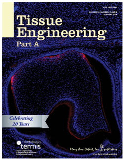 Tissue Engineering Part A 2014년 1월호 표지 그림에 실린 연구진의 결과