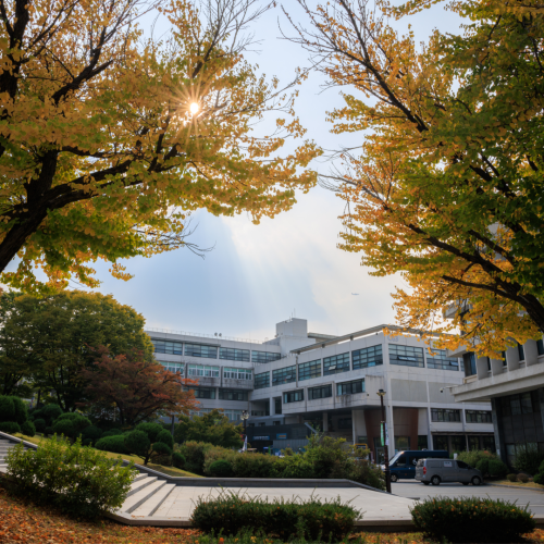 서울대의 가을