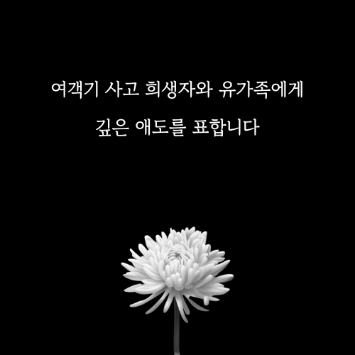 여객기 사고 희생자와 유가족에게 깊은 애도를 표합니다