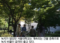 녹지가 많았던 서울대학교는 계속되는 건물 증축으로 녹지 비율이 급격히 줄고 있다