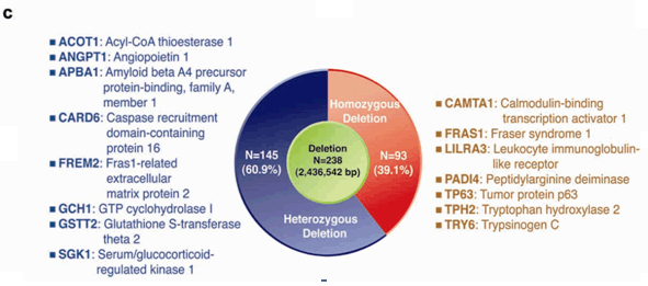 AK1의 질병 가능 유전체 단위반복 변이(CNV)